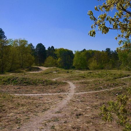 Luxe Chalet Op De Veluwe Ermelo Luaran gambar